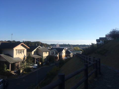 青葉台団地と弥生団地を歩きました。